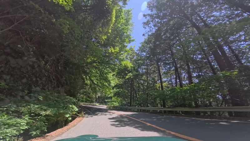 頼朝ライン
